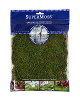Green Preserved Sheet Moss