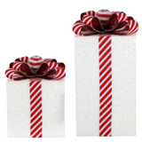 Wrapped Present -2 Sizes