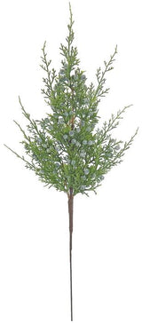 Winter Story Juniper Spray