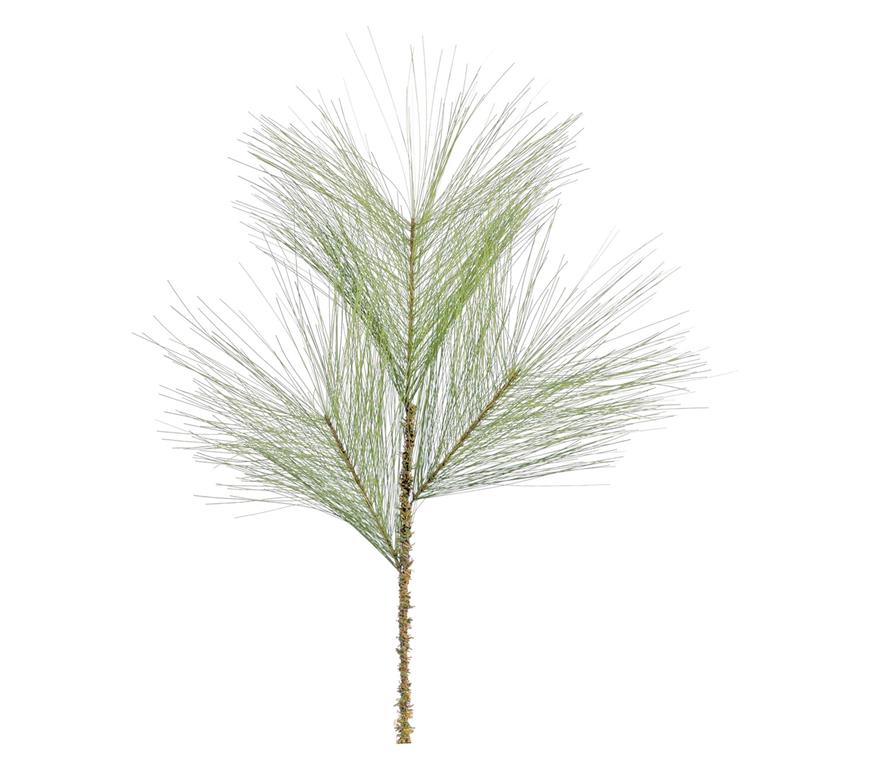 Long Needle Pine Spray