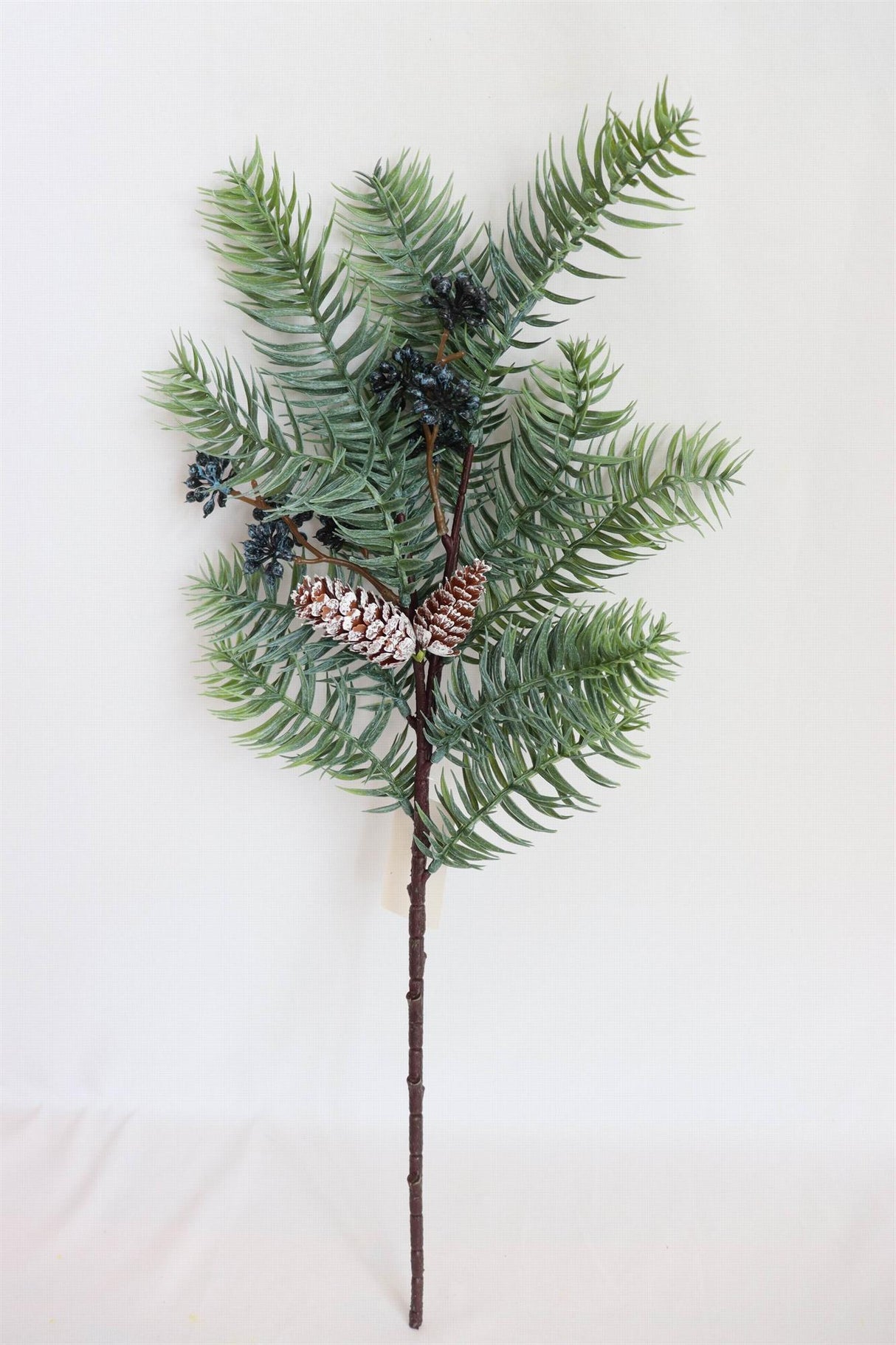 Cool Night White Spruce Spray