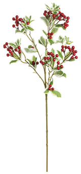 Winter Snow On The Mountain Spray