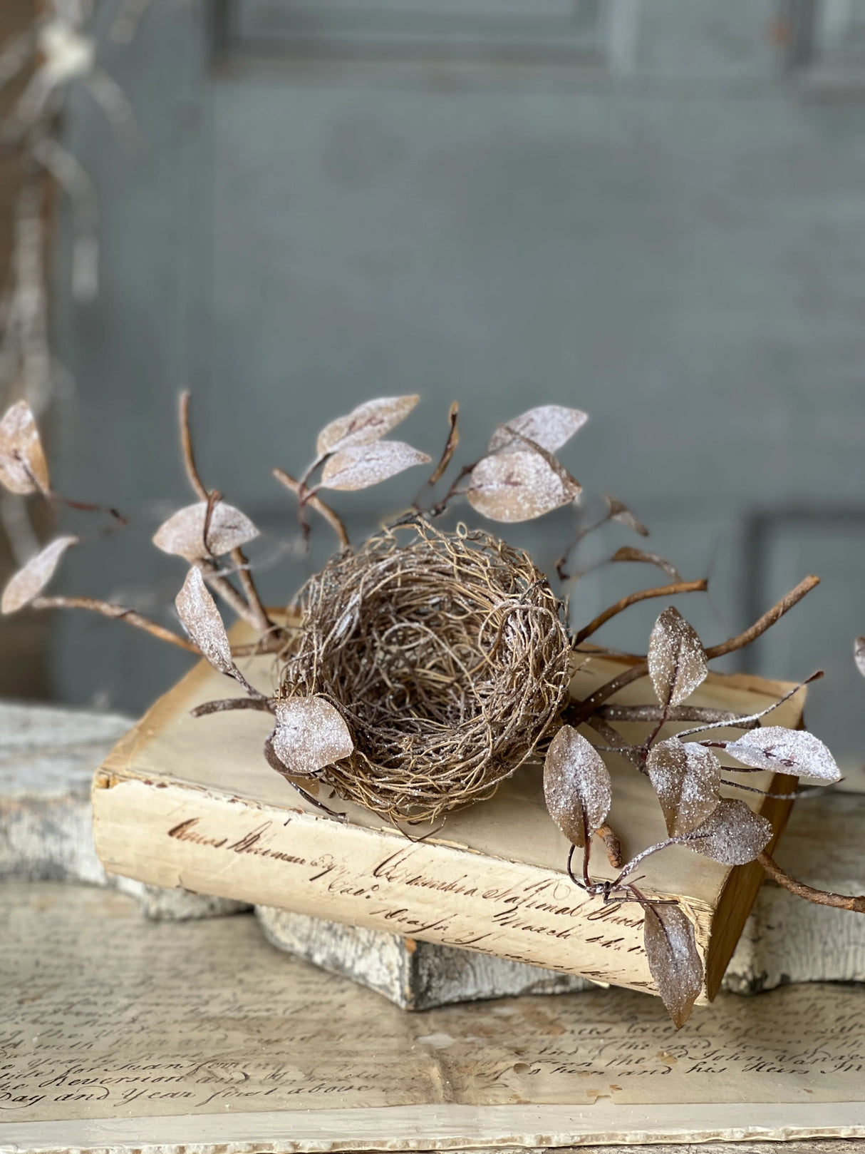 Icy Barren Nest & Leaves