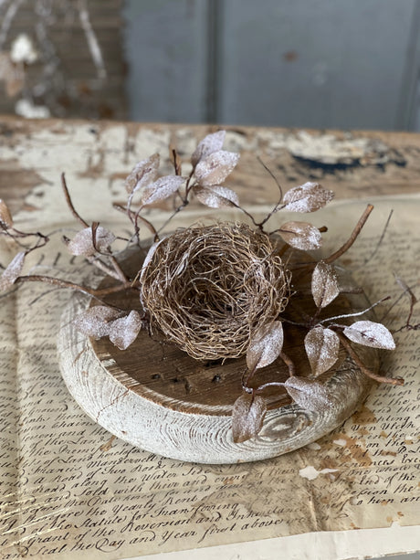 Icy Barren Nest & Leaves