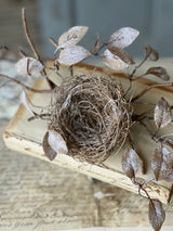 Icy Barren Nest & Leaves