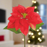 Timeless Red Poinsettia