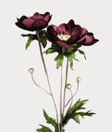 Burgundy Glamour Velvet Anemone Spray