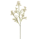 Snowed White Waxflower Spray