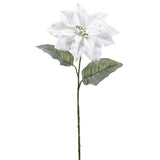 Snowed White Poinsettia Spray