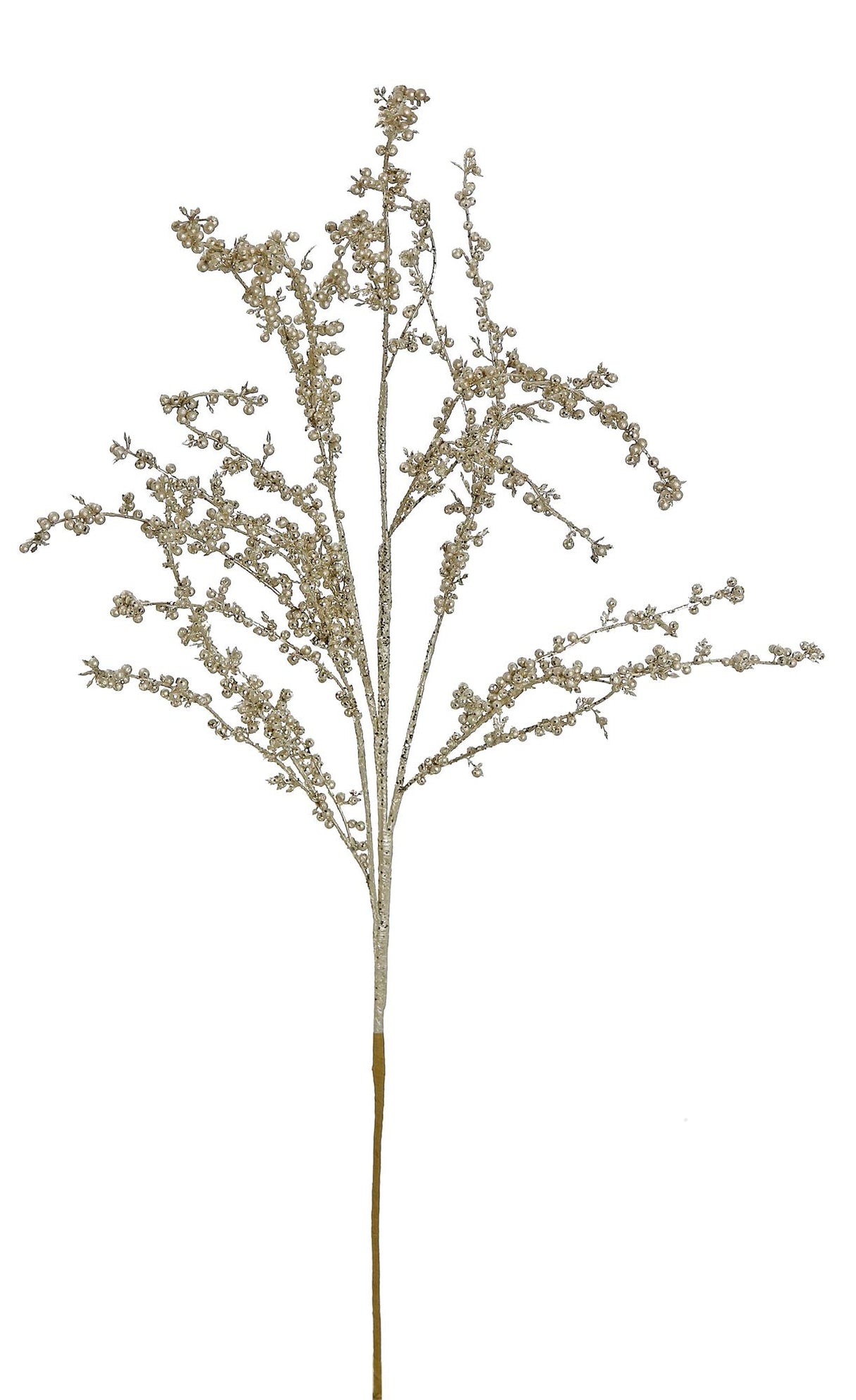 Champagne Seed Branch Spray
