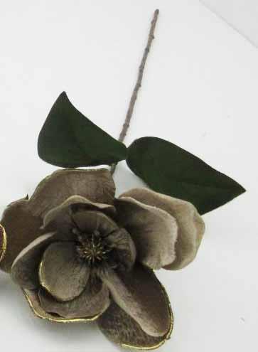 Velvet Magnolia With Gold Edge
