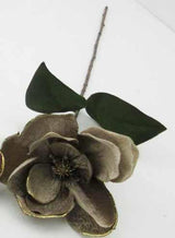 Velvet Magnolia With Gold Edge