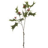 Advent Holly Spray