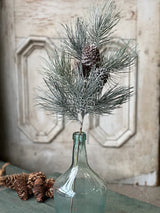 Frosted Emperor Pine Spray