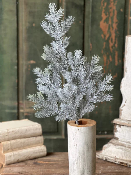 Snowy Sitka Spruce Spray