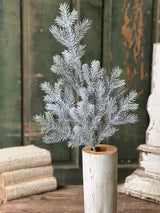 Snowy Sitka Spruce Spray