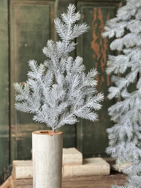 Snowy Sitka Spruce Spray