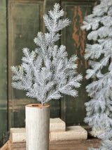 Snowy Sitka Spruce Spray