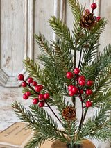 White Spruce & Berries Pick