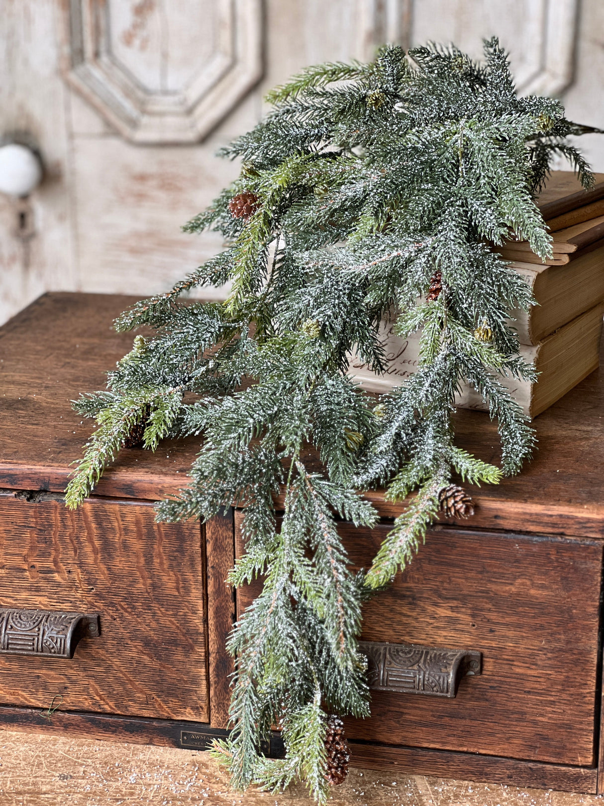 Frosted White Spruce