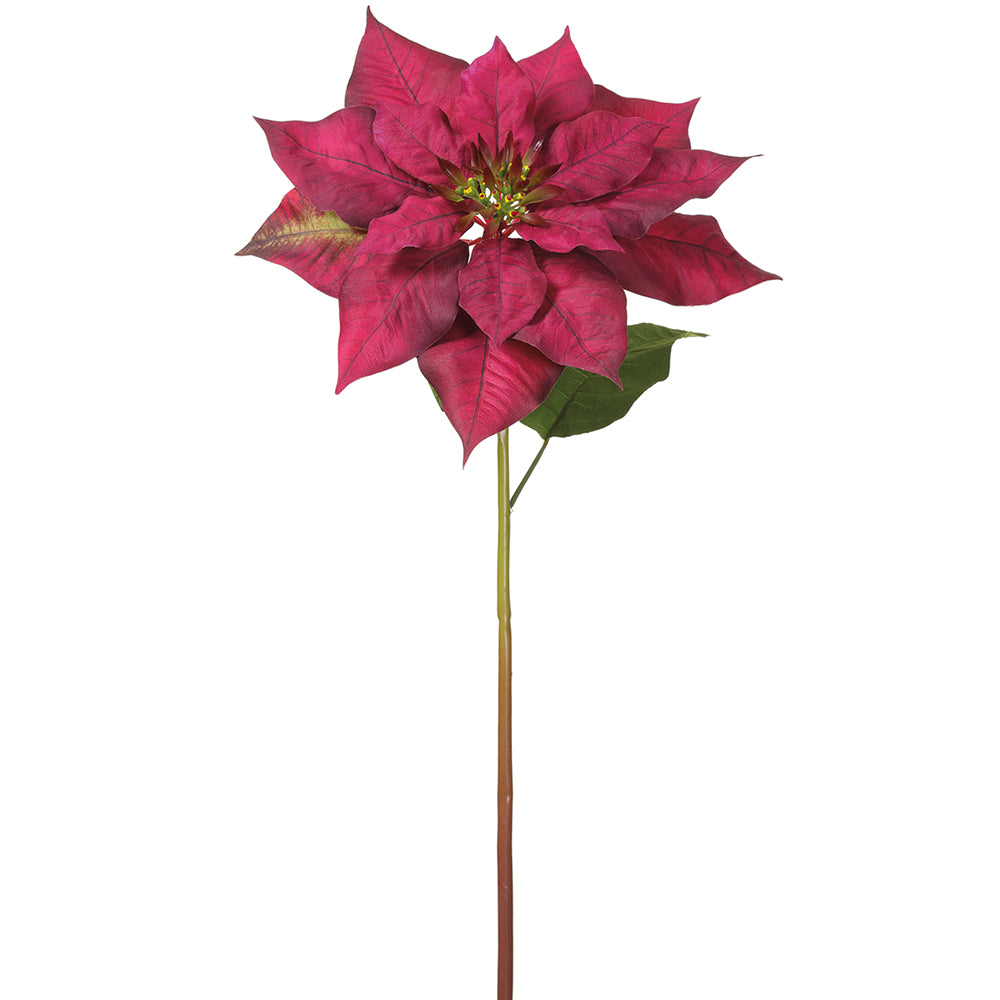 Burgundy Poinsettia Spray