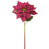 Burgundy Poinsettia Spray