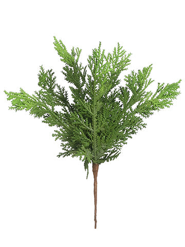 Evergreen Cedar Pick