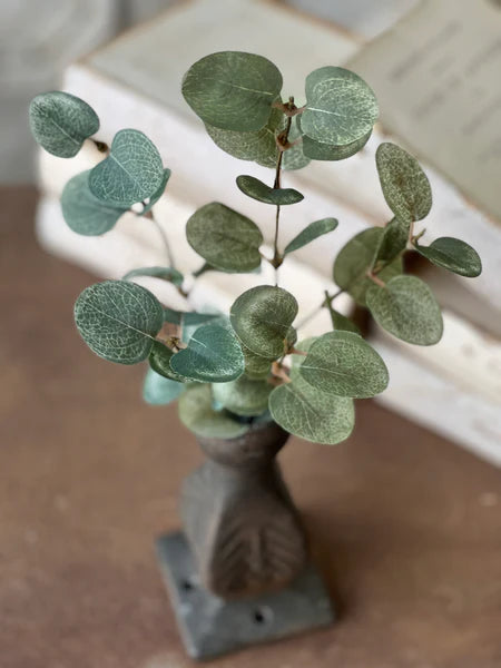 Garden Eucalyptus Pick