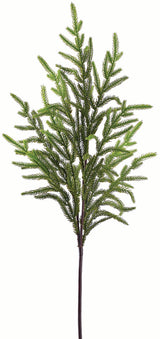 Green Fir Spray