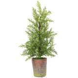 19" Potted Cedar Tree