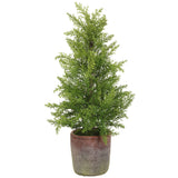 23" Potted Cedar Tree