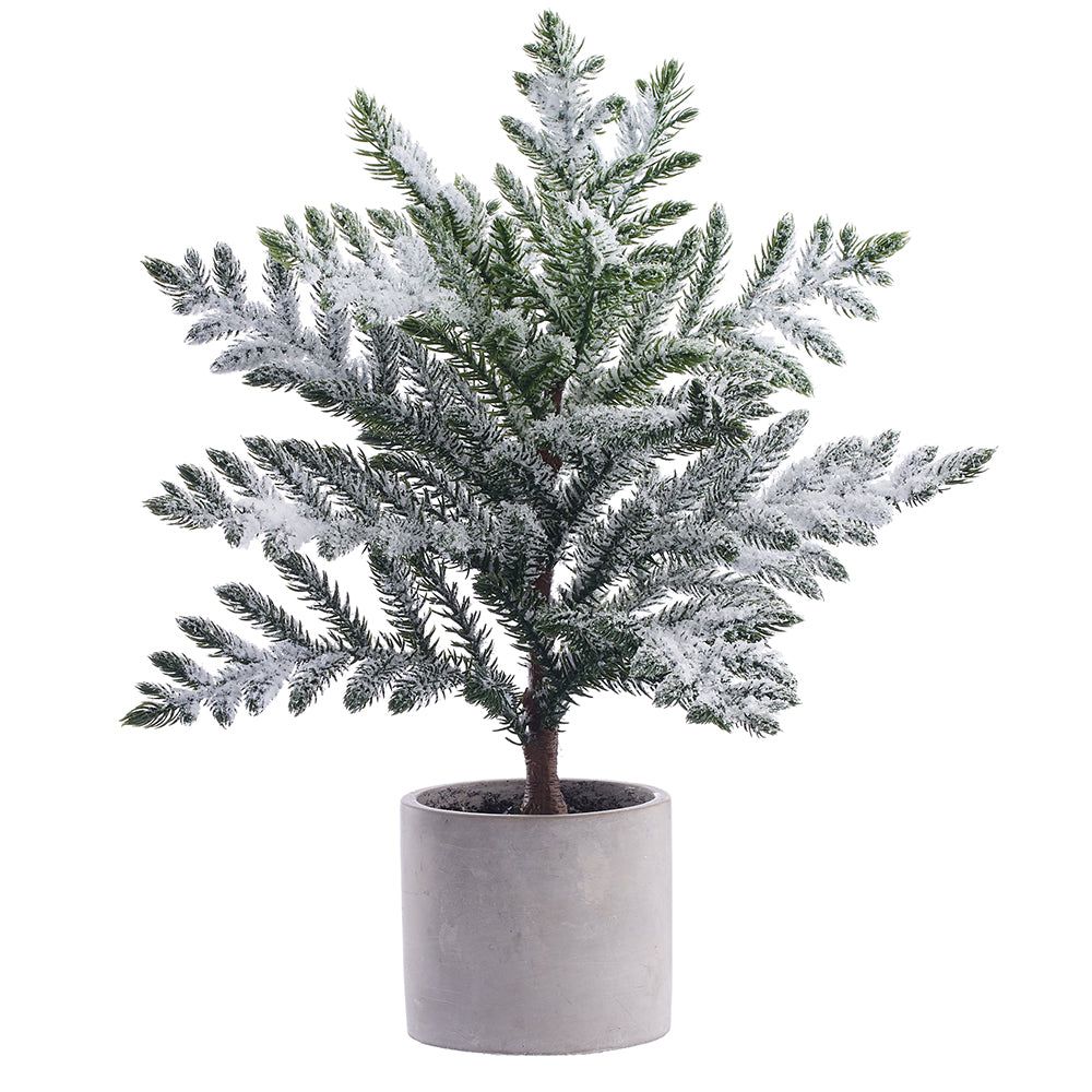 Snow Pine Potted Tree