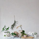 Natural Paulownia Wood Tray