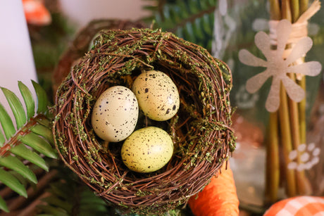 Bird's Nest With Eggs Box of 4