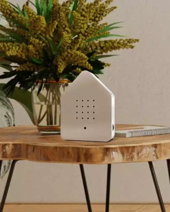 Birdybox Motion Sound Box