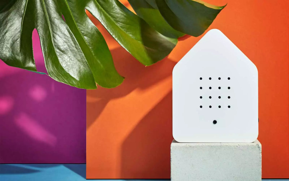 Birdybox Motion Sound Box