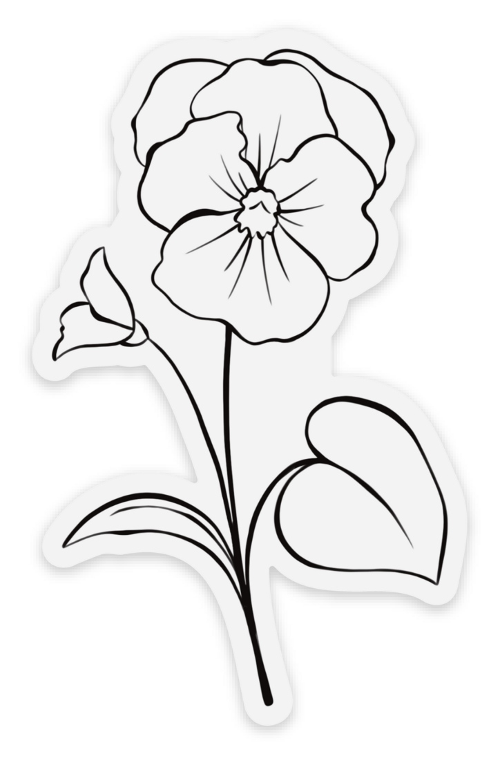 February Birth Month Flower