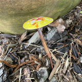 Small Copper Enamel Mushrooms