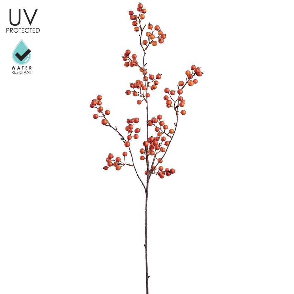 UV Protect Orange Berry Spray