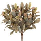 Olive Laurel Leaf Bush