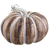 7.5" Fall Fun Pumpkin