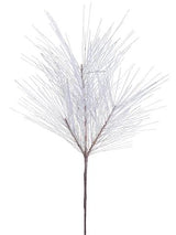 Powerdered Snow Long Needle Pine Spray