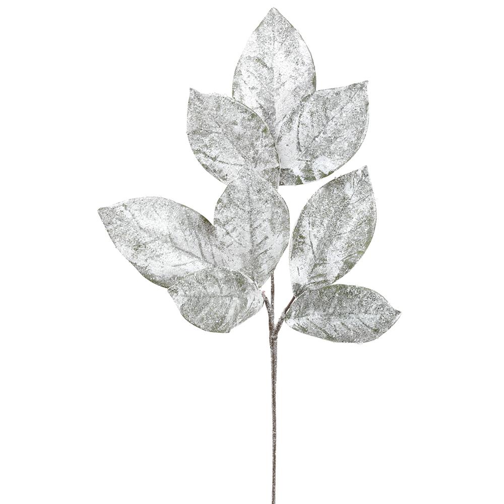 Winter Iced Magnolia Leaf Spray