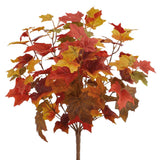 Full Fall Maple Leaf Bush