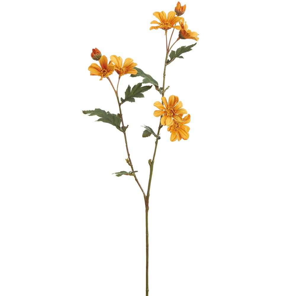 Mustard Daisy Spray