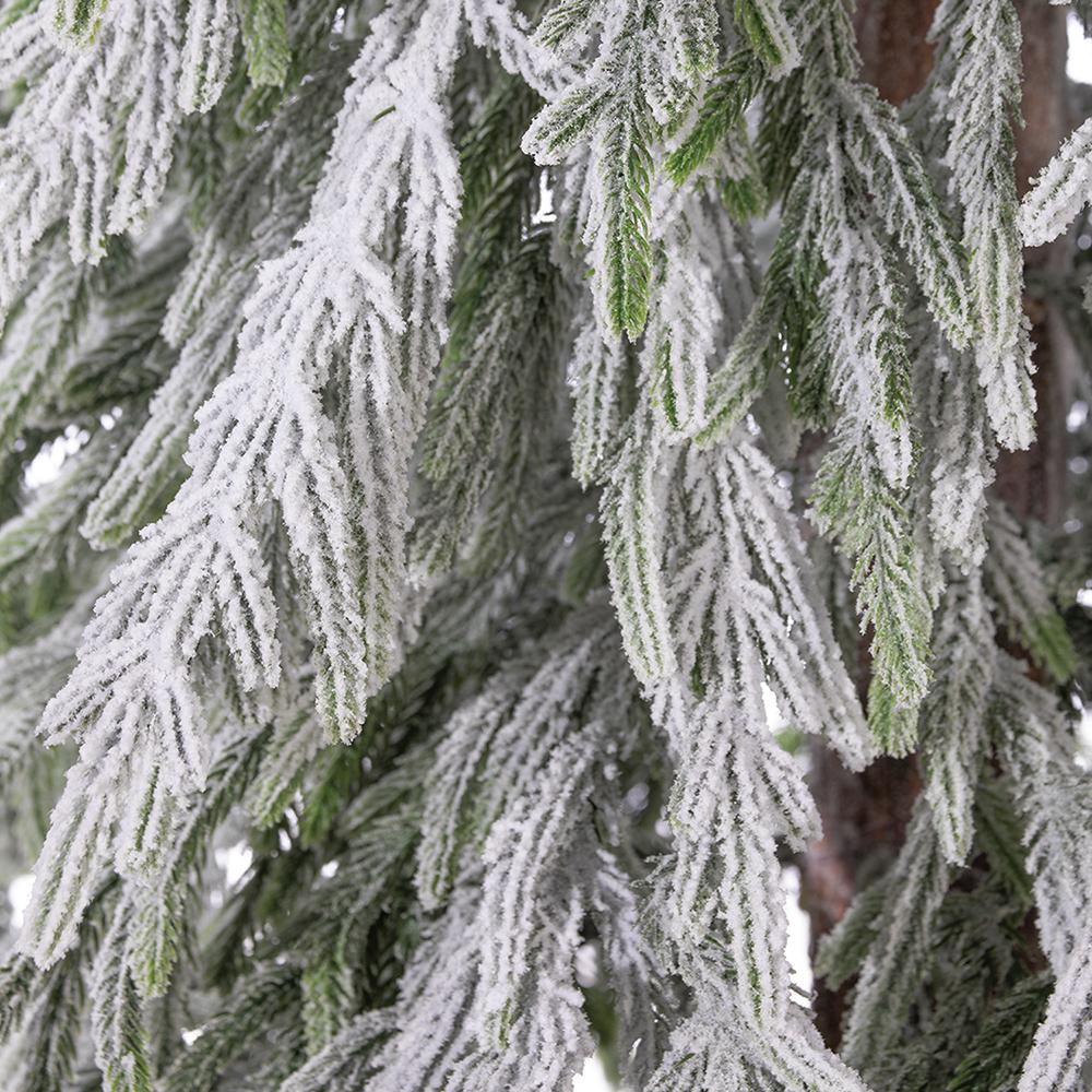 6' Snow Willow Pine Tree
