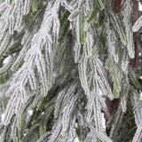 6' Snow Willow Pine Tree