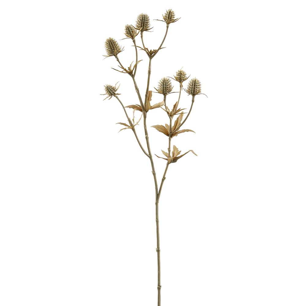 Beige Eryngium Thistle Spray