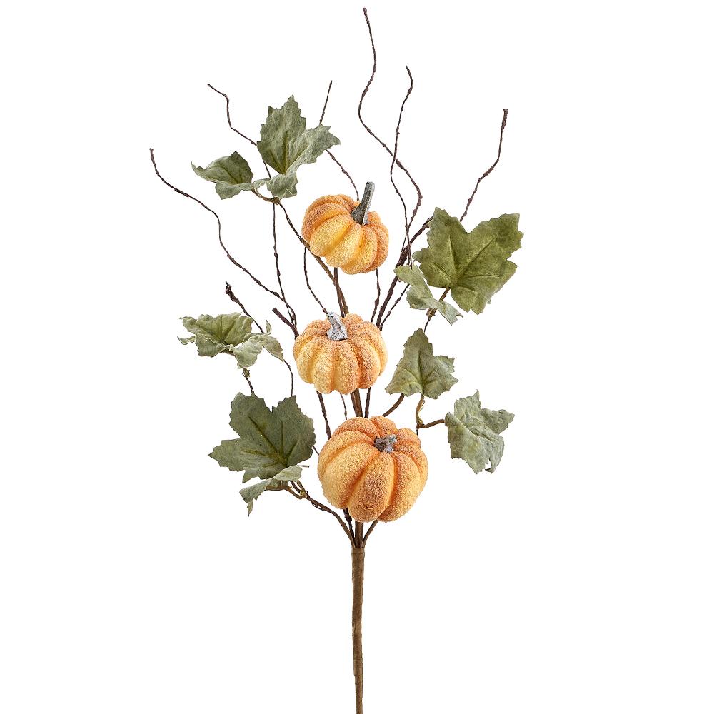 Autumn Activity Pumpkin Spray