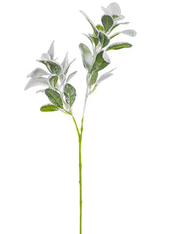 Snowed Lamb's Ear Spray
